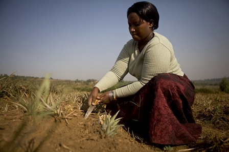 farmer in Rwanda